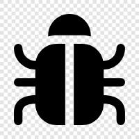 bug, fly, beetle, moth icon svg