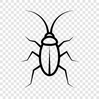 bugs, insects, pests, animals icon svg