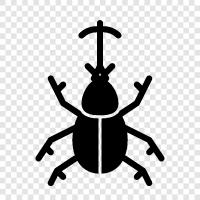 Bugs, Insects, Animal, Animal Behavior icon svg