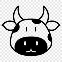 bull, beef, agricultural, dairy icon svg