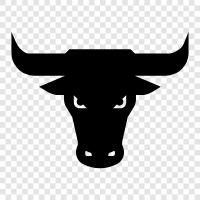 bull, head, horns, animal icon svg