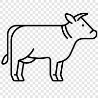 bull, dairy, beef, agriculture icon svg