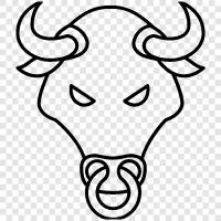 bullfight, bullfighting, bulldog, beef icon svg