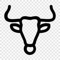 bullfighter, bullfighting, bull markets, bullion icon svg