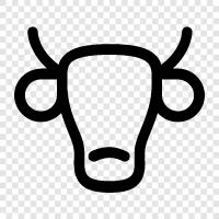 bullfighting, bullfighting arena, bullring, bulls icon svg