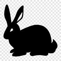 Bunny, Furry, House Rabbit, Pet Rabbit icon svg