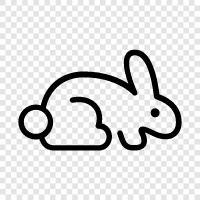 bunny, hare, pet, petting icon svg