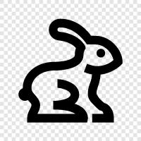 bunny, hare, pet, cute icon svg