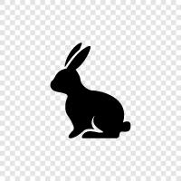 bunny, rabbit family, rabbits for sale, bunny adoption icon svg