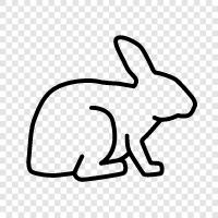 bunny, hare, pet, farm icon svg