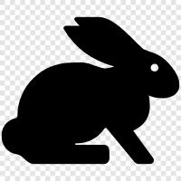 bunny, hare, pet, animal icon svg