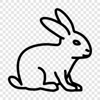 bunny, hare, white rabbit, black rabbit icon svg