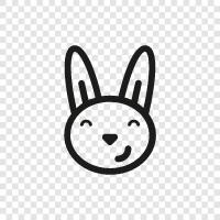 Hase, Haustier, Rasse, Kaninchen symbol