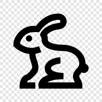 bunny, hat, carrot, eggs icon svg