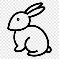 bunny, pet, animal, cute icon svg