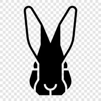 bunny, pet, animal, farm icon svg