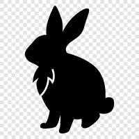 bunny, pet, house, care icon svg