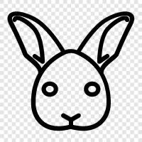 Hase, Haustier, Haushalt, Bauernhof symbol