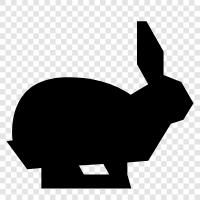 bunny, hare, pet, house icon svg