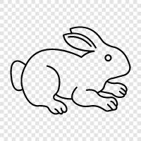 bunny, pet, house, care icon svg