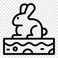 bunny, pet, house, cabbit icon svg