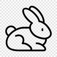 bunny, pet, house, cabbit icon svg