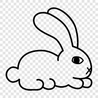 bunny rabbit, bunny rabbit care, bunny rabbit feeding, bunny rabbit housing icon svg