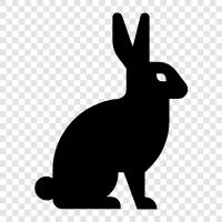 bunny rabbit, bunny rabbit care, bunny rabbit facts, bunny rabbit food icon svg