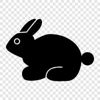 tavşan tavşanlar, bunny çiftçi, bunny çiftlik, bunny ikon svg