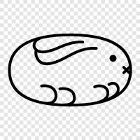 bunny rabbits, bunny slippers, bunny ears, bunny tail icon svg