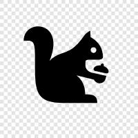 bushy tail, furry, cute, cuddly icon svg