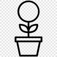 business growth, personal growth, business growth tips, personal growth tips icon svg