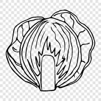 cabbage icon svg