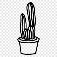 cacti, succulent, desert, Arizona icon svg