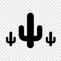 cacti, desert plants, succulents, Cactus icon svg