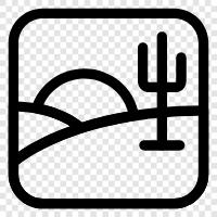 cacti, succulent, prickly, desert icon svg