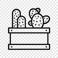 kaktüs, prickly armut, succulents, bitkiler ikon svg