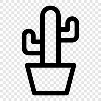 cacti, succulents, plants, garden icon svg