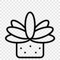 cactus, succulent, cactus plants, succulent plants Значок svg