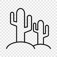 cactus plants, cactus care, cactus plants for sale, Cactus icon svg