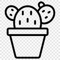 cactus plants, cactus care, cactus propagation, cactus information icon svg