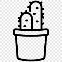 cactus pot plant, succulents, succulent, cactus icon svg