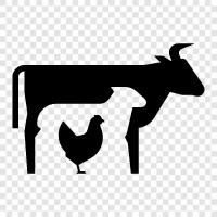 caged animal, farm animal rights, animal rights, animal welfare icon svg