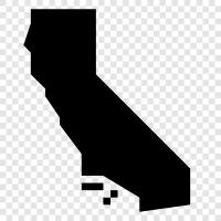 California map 2016, California map with states, California map with cities, California icon svg