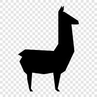 Cama, Camels, Camelid, Camel icon svg