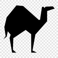 CamelCrush, CamelJoust, CamelRace, CamelToucher icon svg