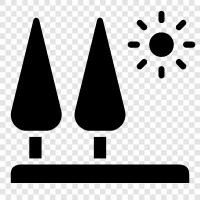 camping, hiking, nature, recreation icon svg