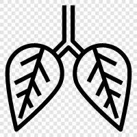 cancer, bronchitis, COPD, emphysema icon svg