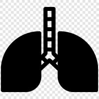 cancer, air, breathing, coughing icon svg