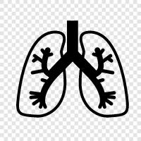 Krebs, Rauchen, Emphysem, COPD symbol